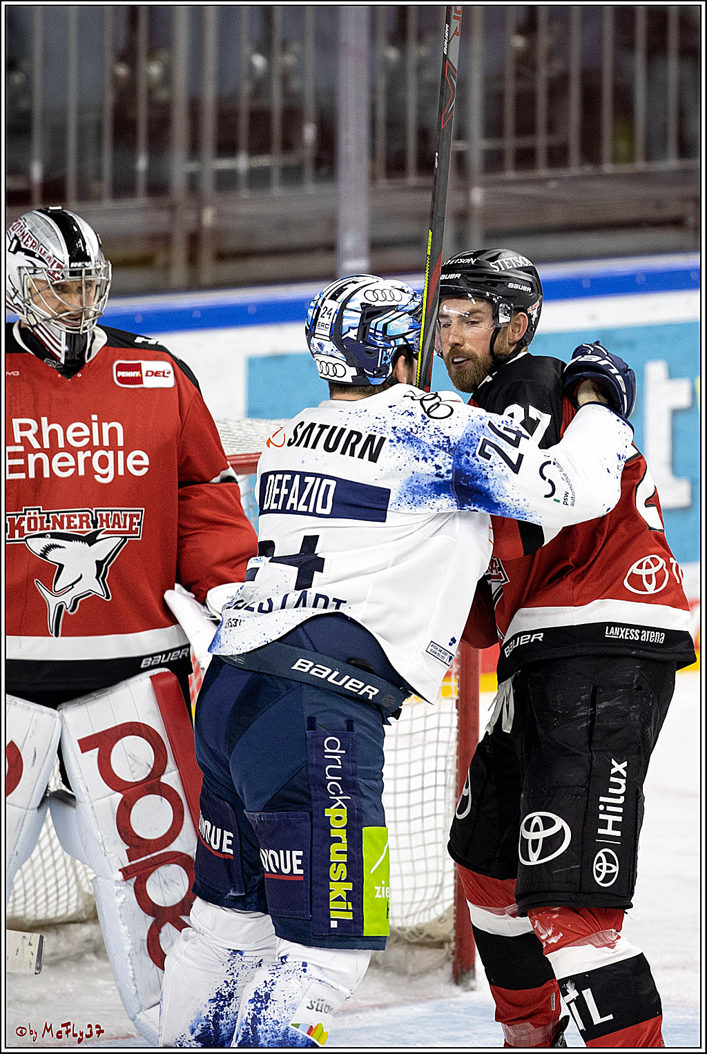 PENNY DEL;  Koelner Haie - ERC Ingolstadt; Koeln, 19.12.2021